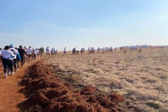 702 WALK THE TALK 2 750x490 1