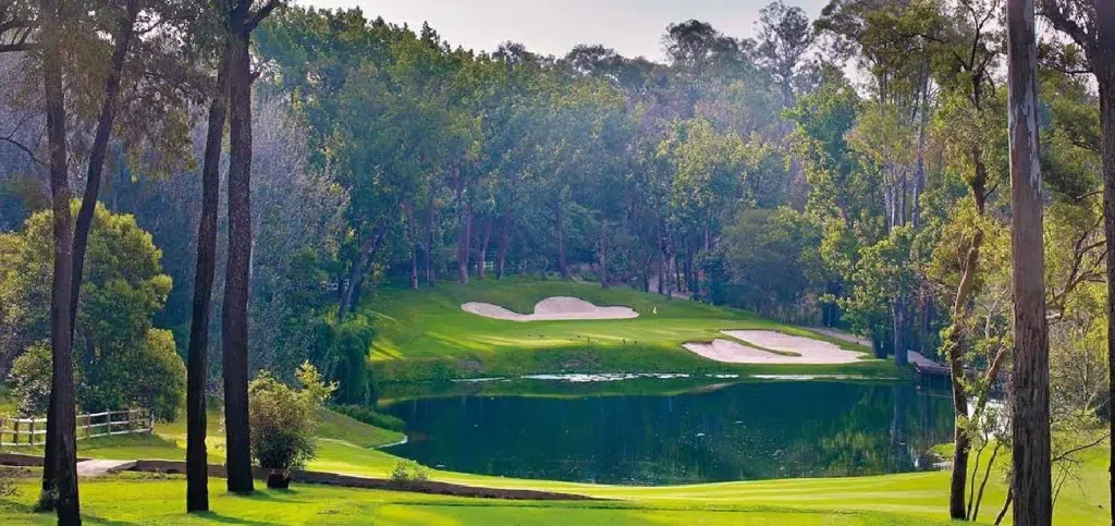 10 Best Golf Courses in Gauteng