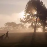 10 Best Golf Courses in Gauteng