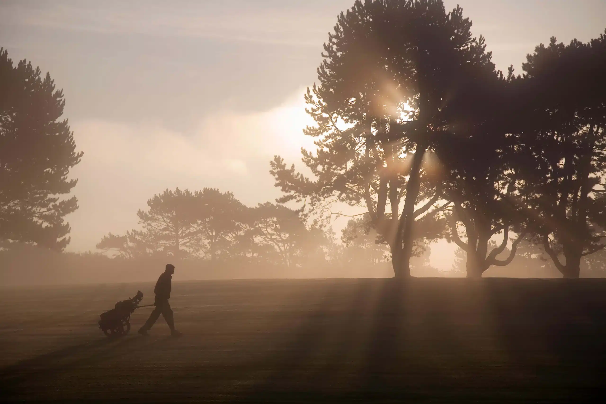 10 Best Golf Courses in Gauteng