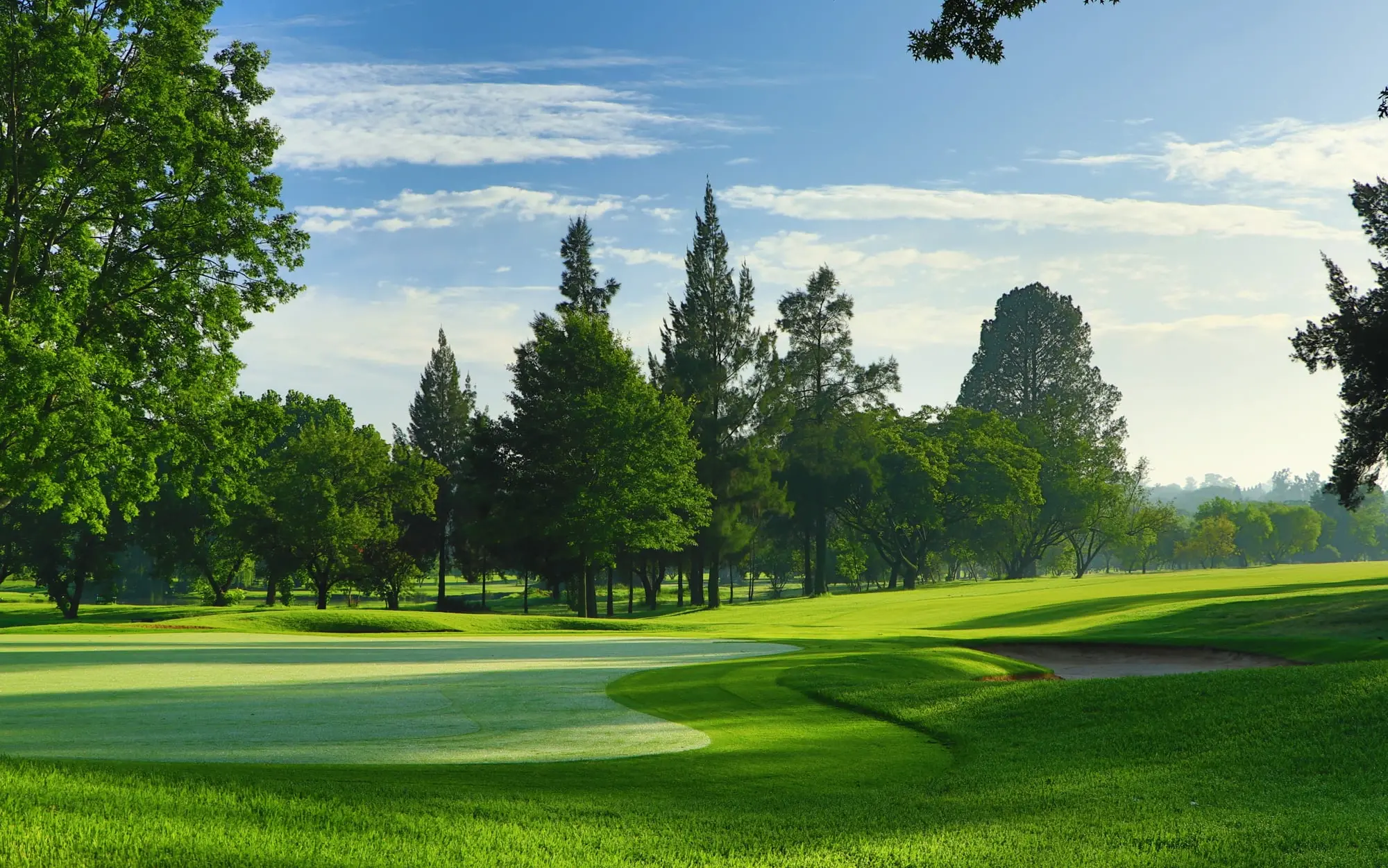 10 Best Golf Courses in Gauteng