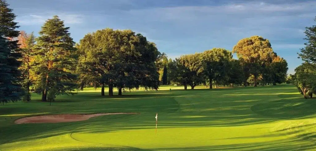 10 Best Golf Courses in Gauteng