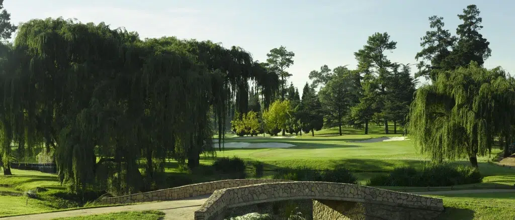 10 Best Golf Courses in Gauteng
