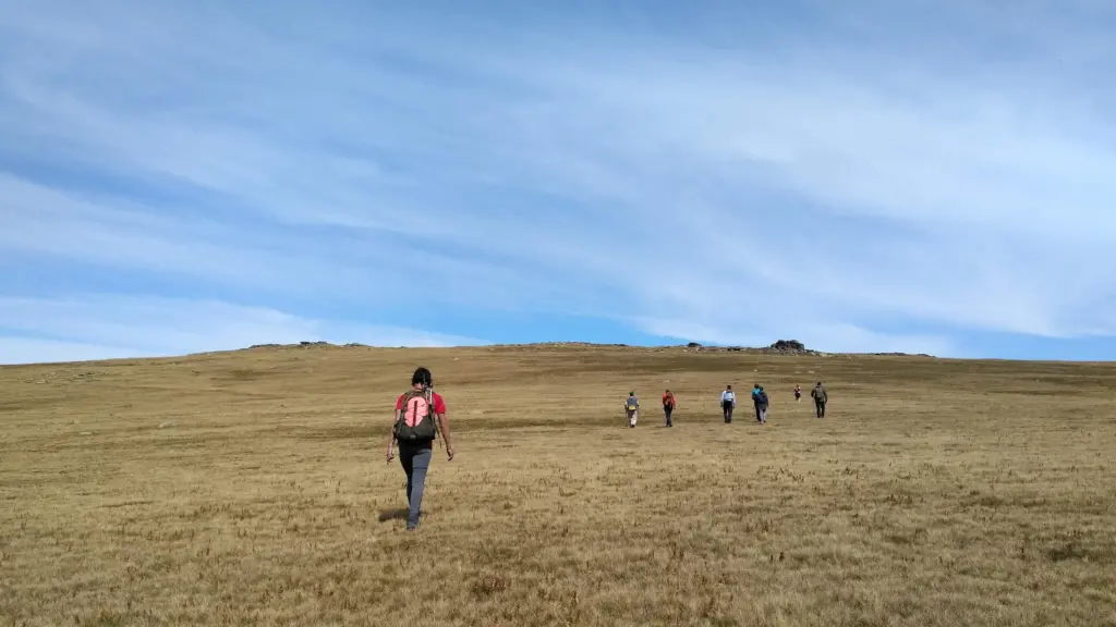 Hiking