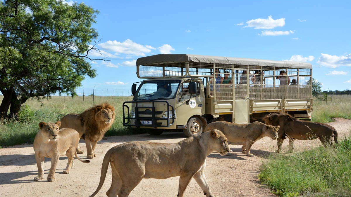 Gauteng Tourism