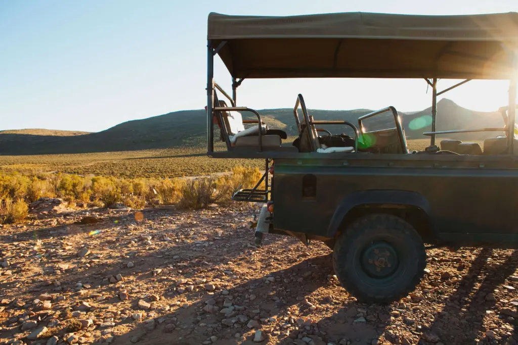 10 places to experience a safari near Gauteng