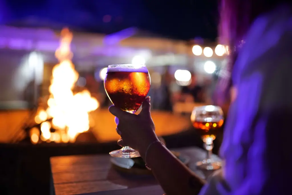 Best Places to Watch the Springboks in Gauteng