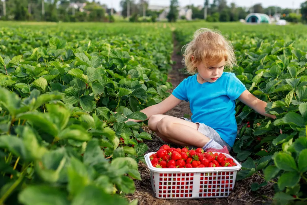 Cute Things to Do Outside in Gauteng