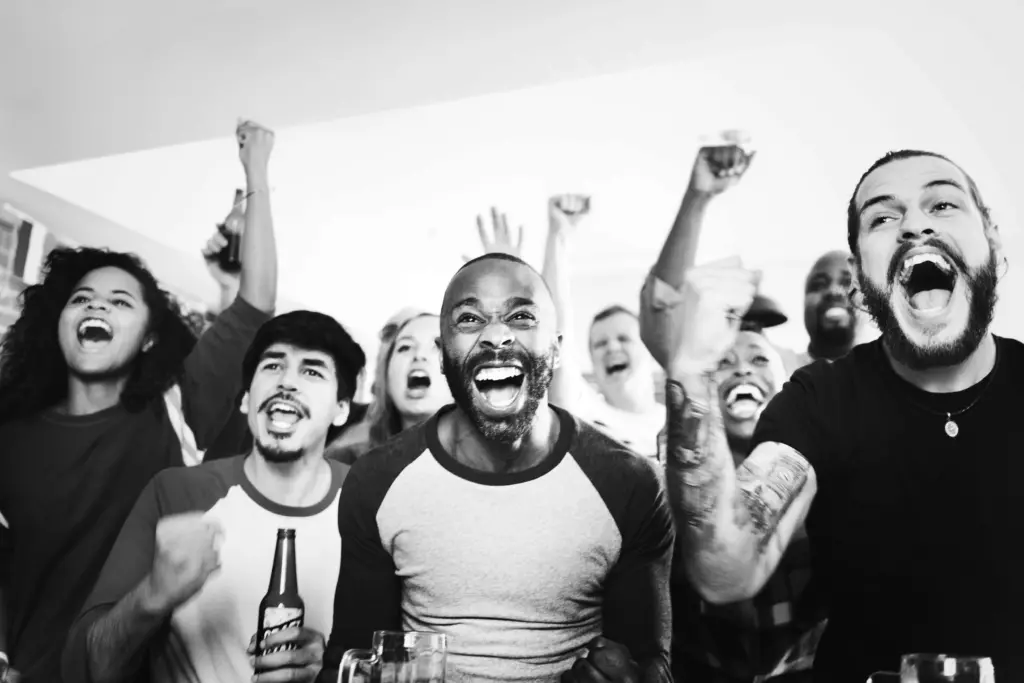 Best Places to Watch the Springboks in Gauteng