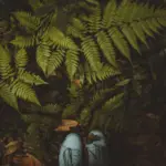 Nirox Sculpture Park