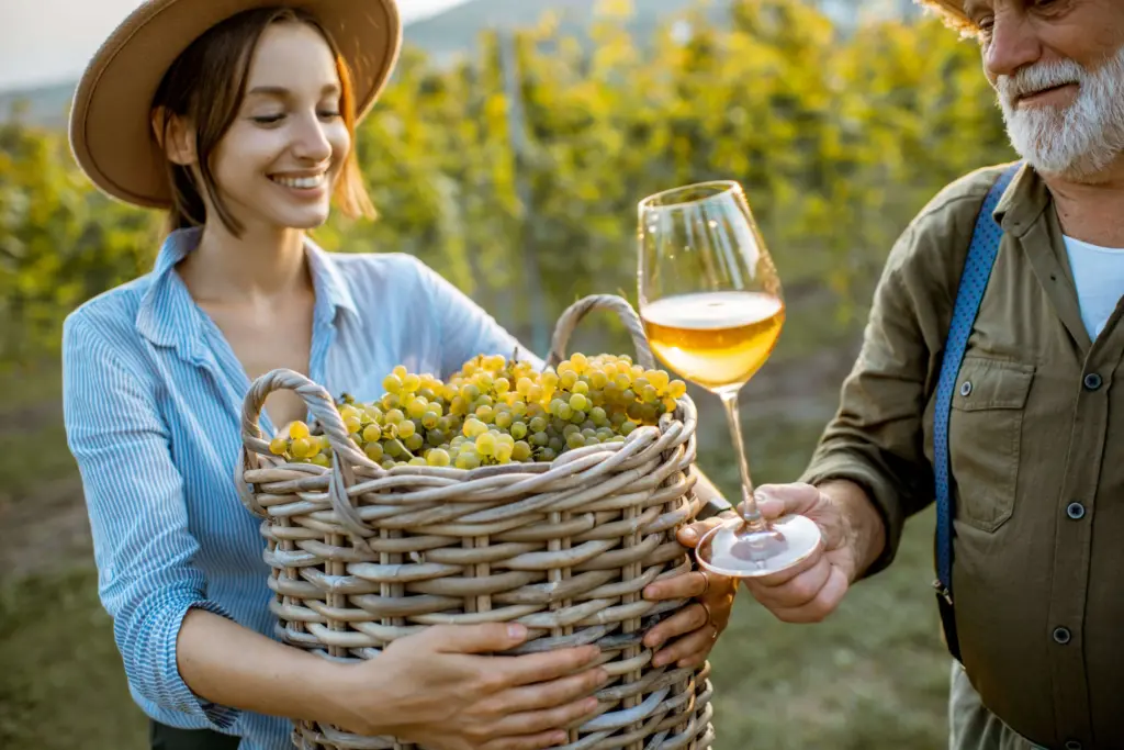 Wineries of Gauteng