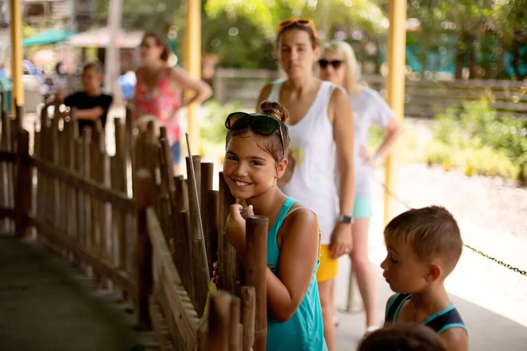 Activity Packages in Gauteng