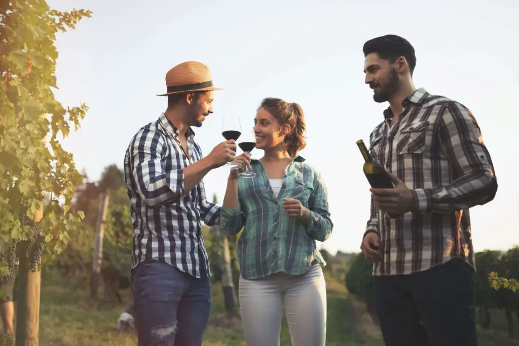 Wine-Tasting Spots in Gauteng