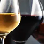 Wine-Tasting Spots in Gauteng