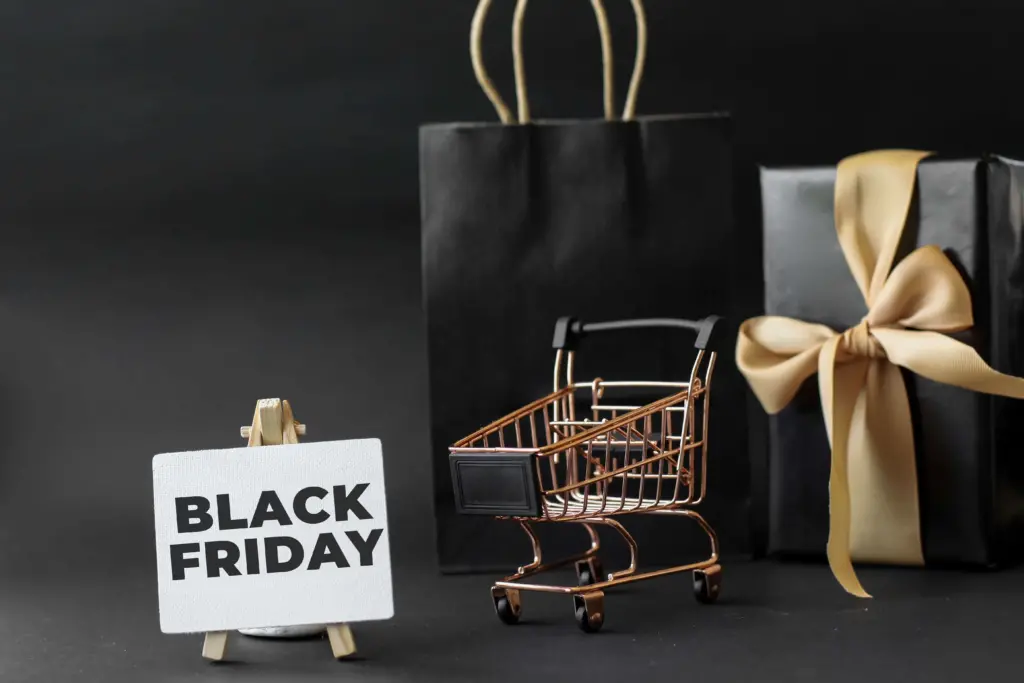 Black Friday Bonanza in Gauteng