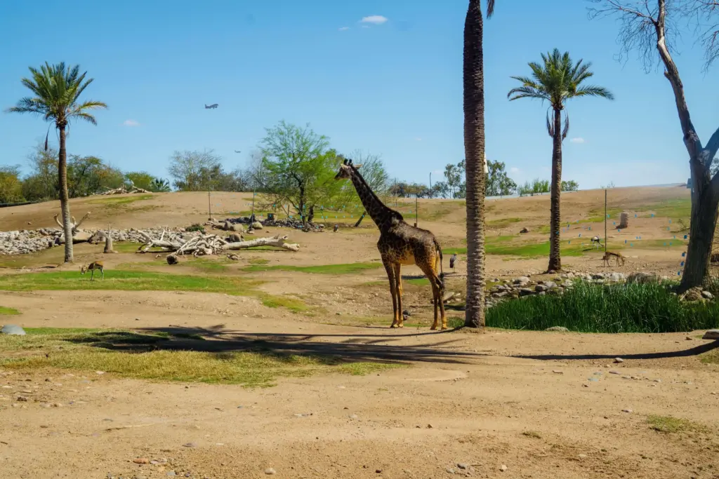 Pretoria Zoo