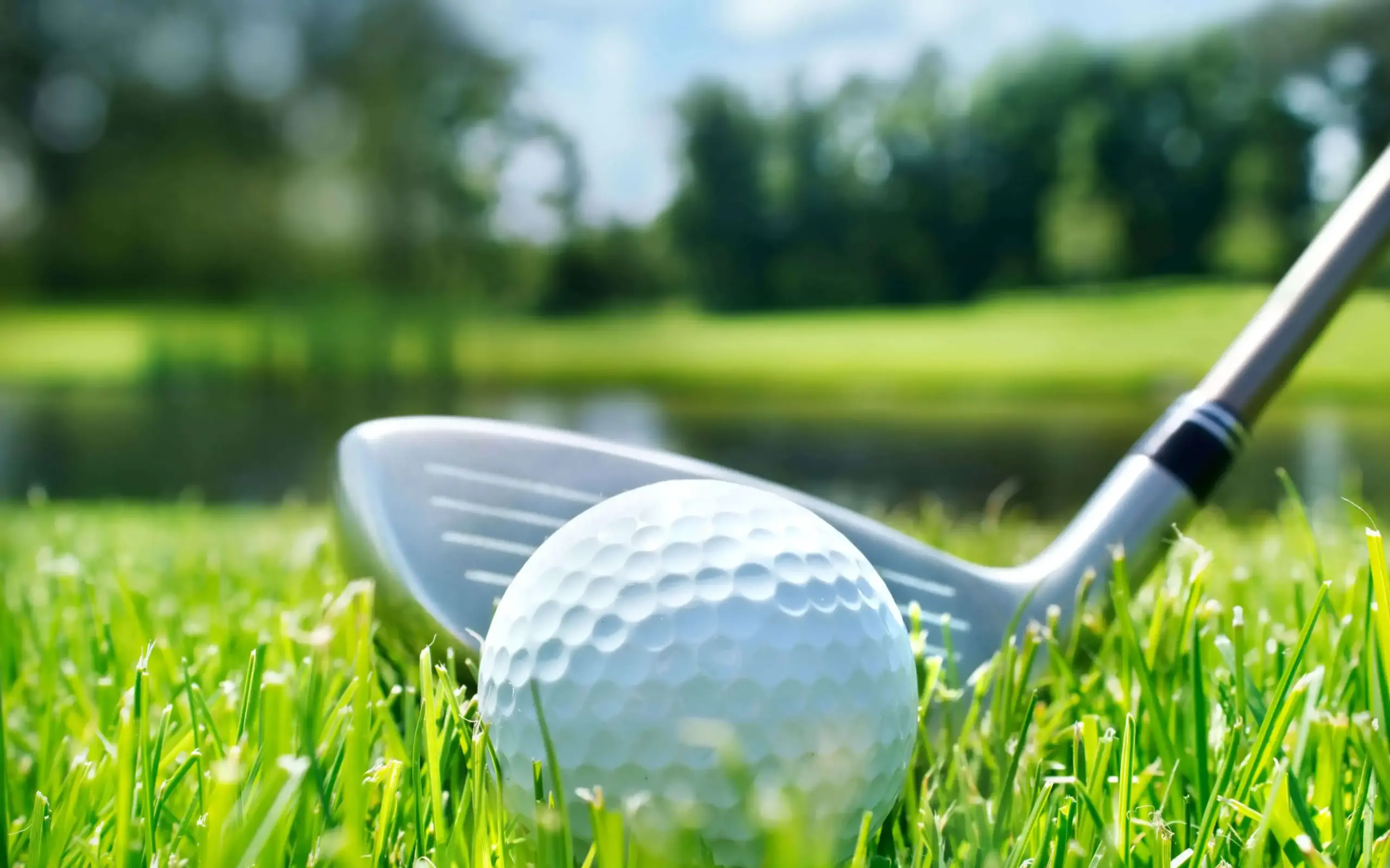 World of Golf in Gauteng