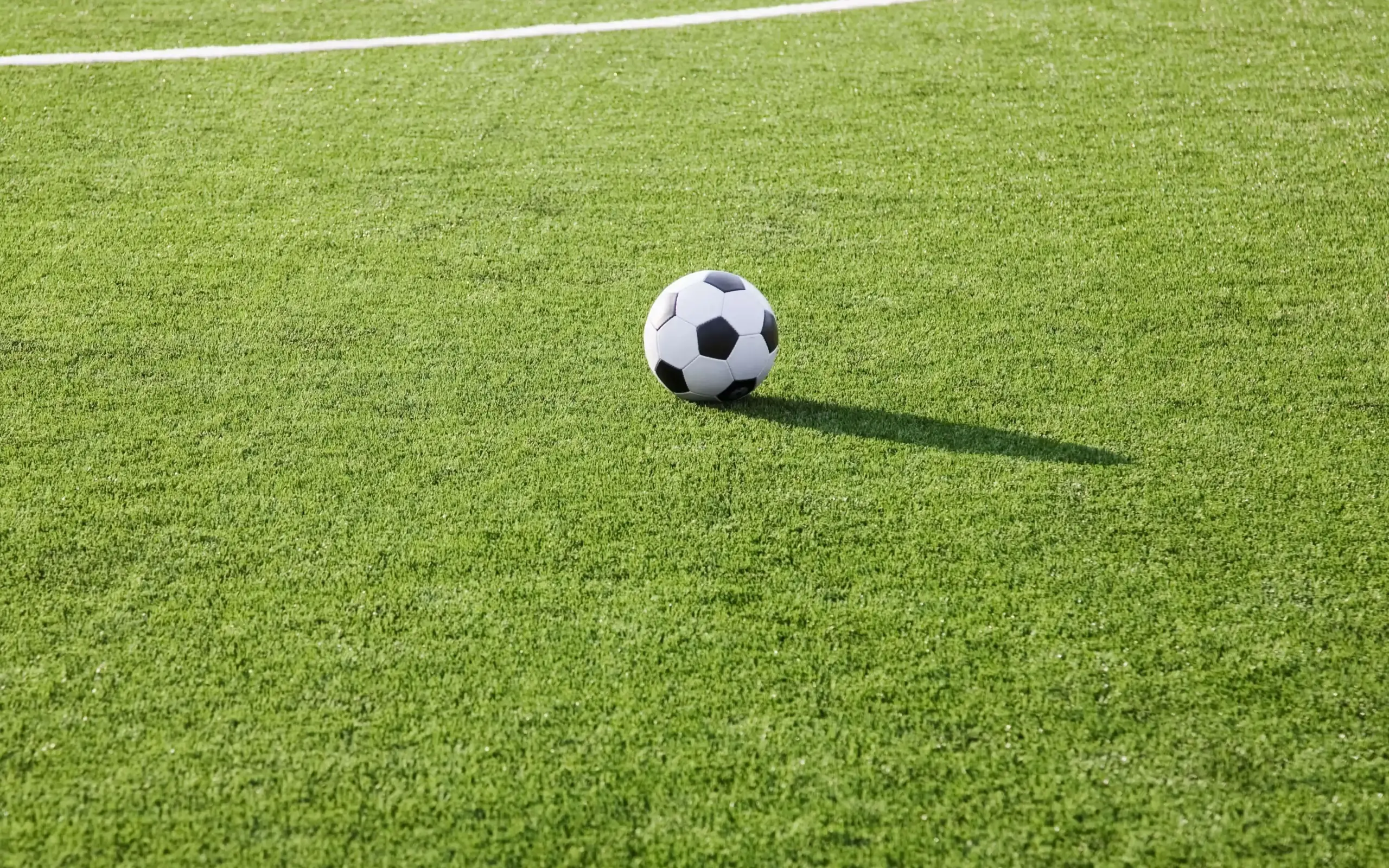 The Original Derby
