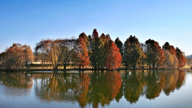 Green Spaces of Gauteng - Farm, Bedfordview