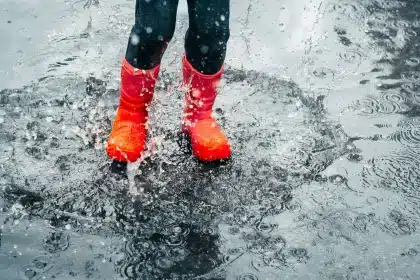 Discovering Gauteng's Weather