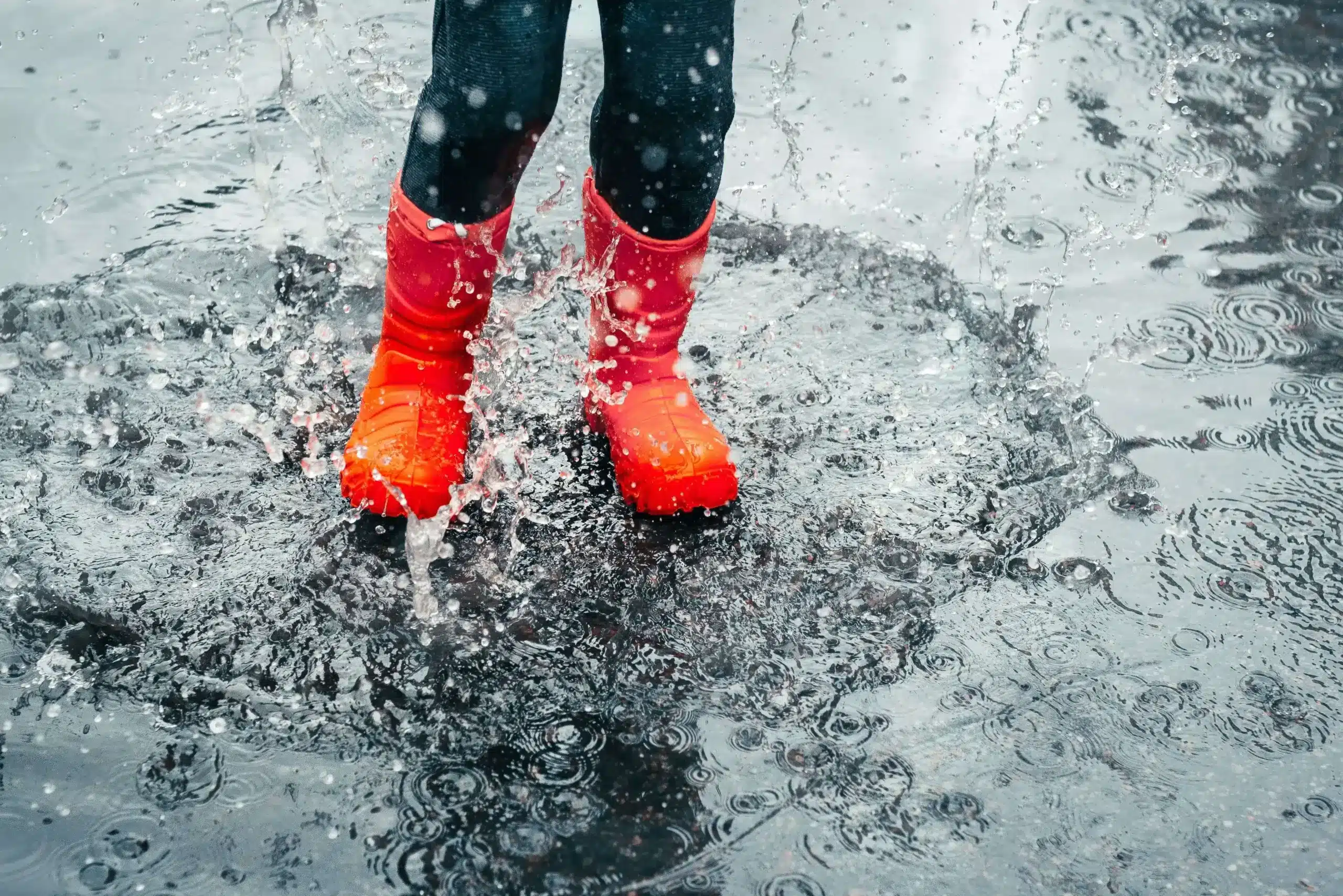 Discovering Gauteng's Weather