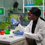 Agricultural Research Council Senior Research Assistant
