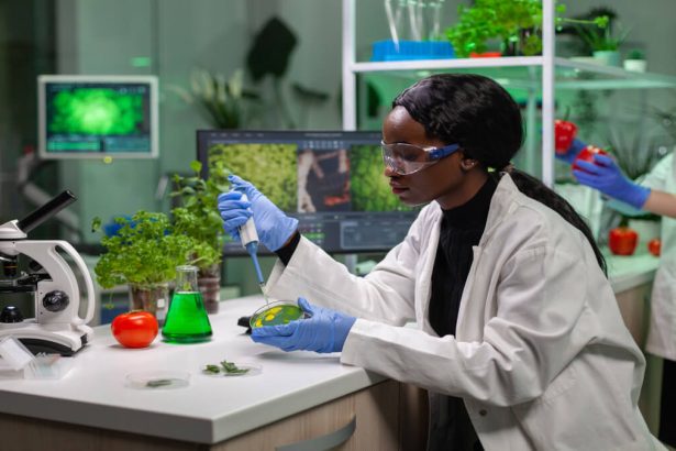 Agricultural Research Council Senior Research Assistant