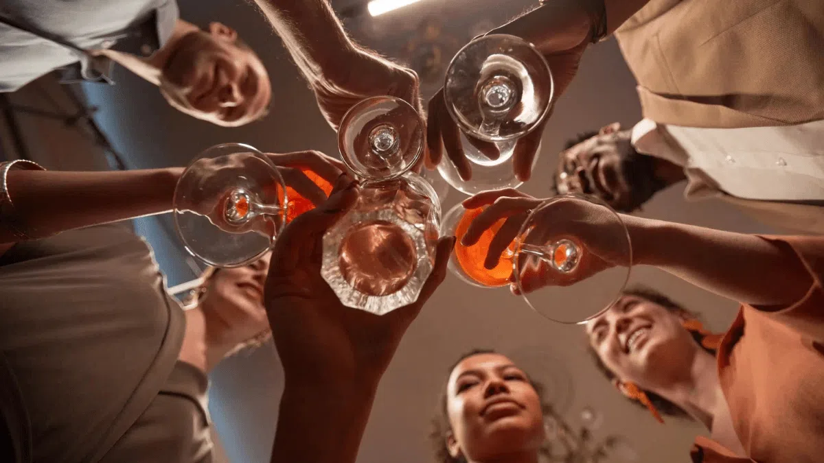 South Africa's "Sin Taxes" Surge: Increase in Alcohol and Tobacco Products Duties (2026 Guide) 50 Increase in Alcohol and Tobacco Products Duties