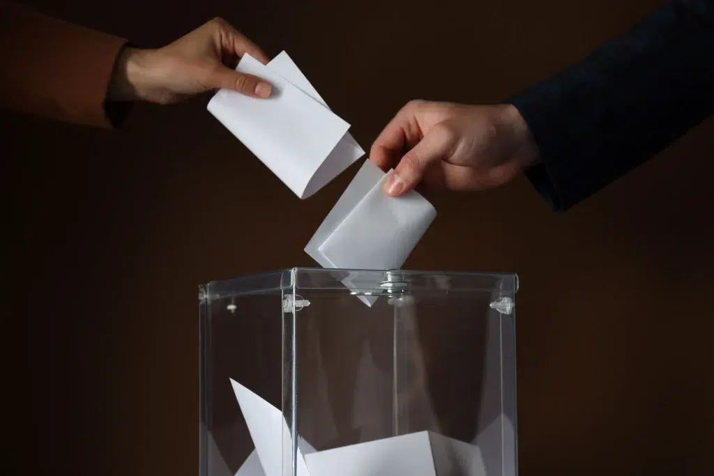 Joining a Political Party in South Africa