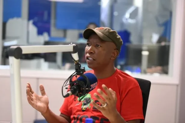 AfriForum Welcomes UK's Decision to Deny Julius Malema Visa Amidst Calls for Sanctions