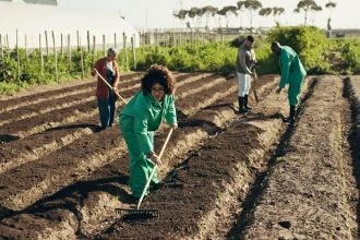 National Minimum Wage