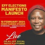 eff manifesto