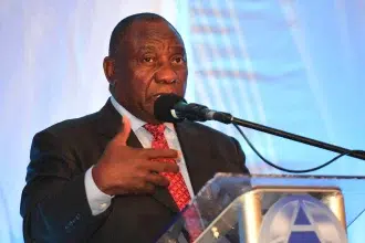 The ANC's Candidate List