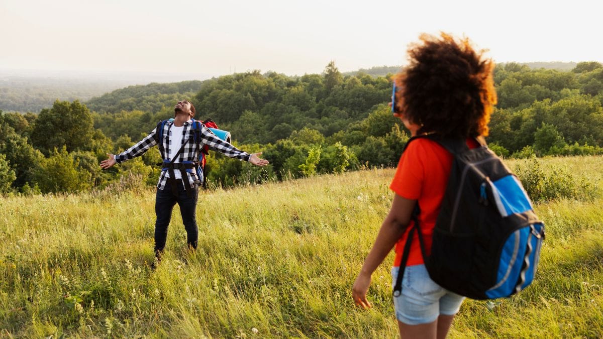 Green Tourism in Gauteng: Exploring South African Sustainability