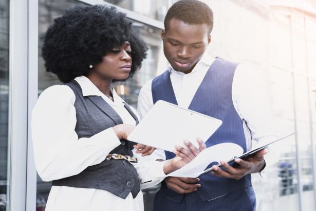 Governance Monitoring and Evaluation Coordinator