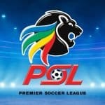 Irvin Khoza to leave PSL