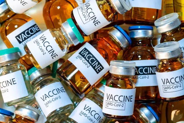 Court Rejects Anti-Vaccine Group's Bid
