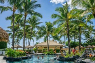 Fantastic Family Resorts in Gauteng for Unforgettable Getaways