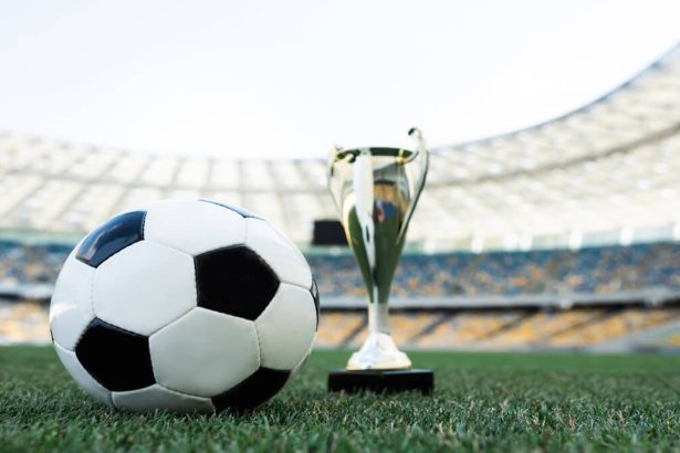 South Africa at the World Cup