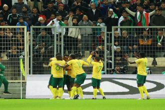 Bafana Bafana celebrations
