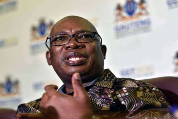 2024 Gauteng State of the Province Address