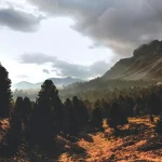 Places for nature lovers in gauteng