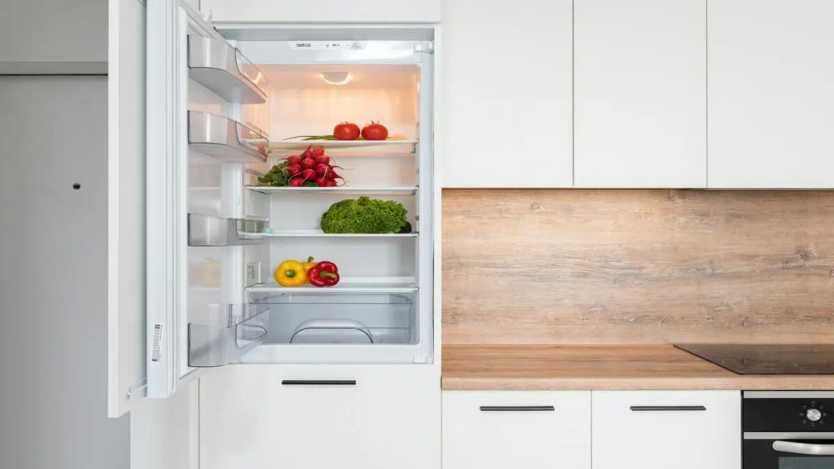 The Best Fridges Under R4000