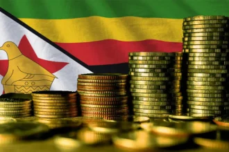 1 Zar to Zig: South African Rand to Zimbabwe Gold