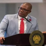 Panyaza Lesufi's GP Cabinet Announcement