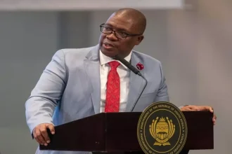 Panyaza Lesufi's GP Cabinet Announcement