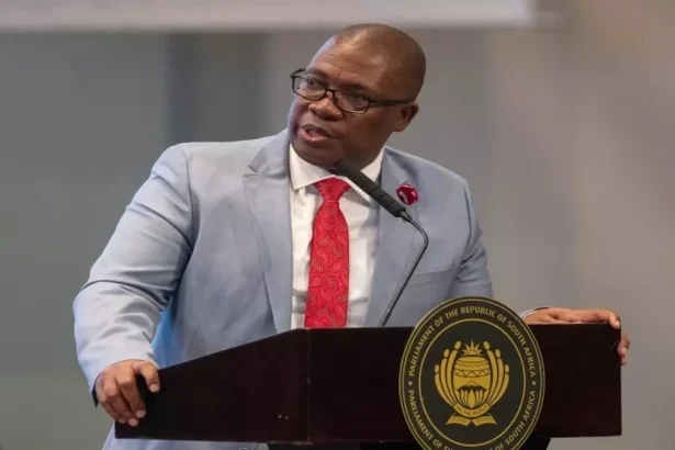 Panyaza Lesufi's GP Cabinet Announcement