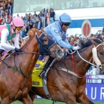 Hollywoodbets Durban July 2024: The Premier Racing Event