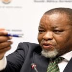 Gwede Mantashe Fuel
