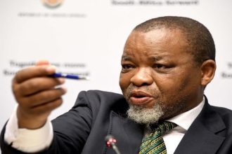 Gwede Mantashe Fuel